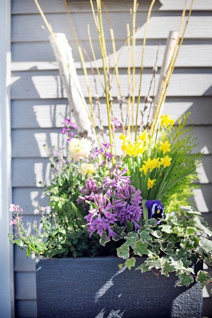 Pin Em Container Window Boxes