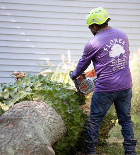 Gallery Bucks County Tree Service PA Tree Service Montgomery County