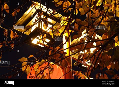 Chinese Street Lamp Among Trees Stock Photo Alamy