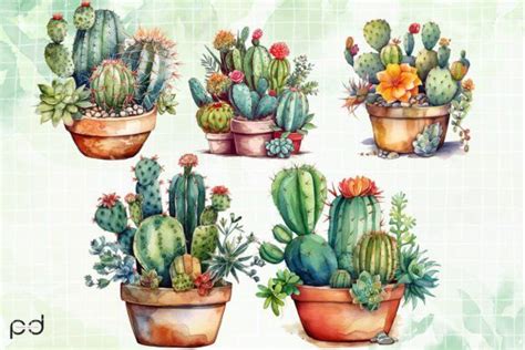 Cactus Art Collection Sublimation Graphic By Padma Design Creative