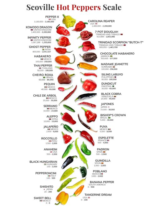 Scoville Hot Peppers Scale Poster Kitchen Wall Art Chef T Chili Pepper Art Chili Pepper