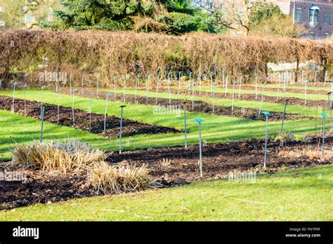 Lund university botanical garden hi-res stock photography and images ...