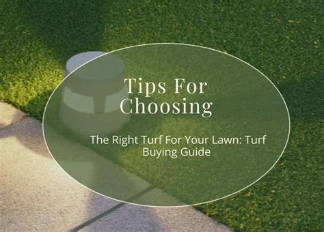 Tips For Choosing The Right Turf For Your Lawn Turf Buying Guide