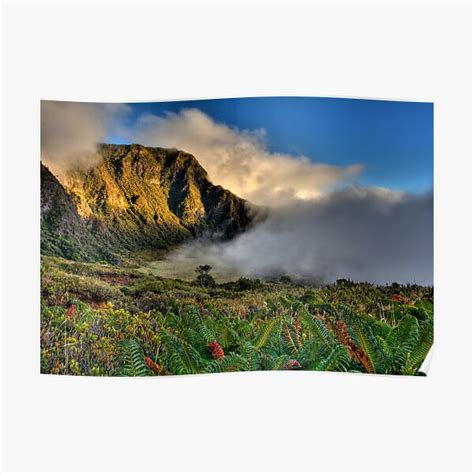 The Paliku Rainforest Maui Hawaii Poster By RandyJayBraun Redbubble