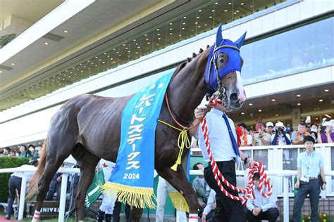 【3歳以上次走報】ミッキーファイトは放牧を挟んでジャパンダートクラシックへ｜競馬ニュース｜競馬予想のウマニティ