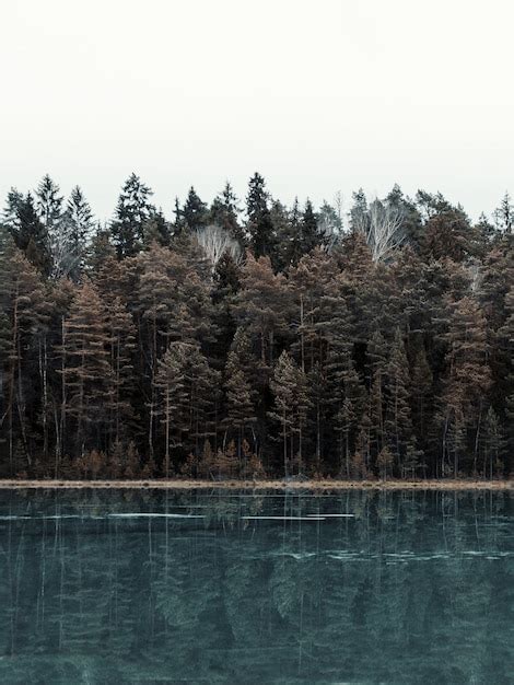 Imagem Vertical De Um Lago Cercado Por Uma Floresta Rvores