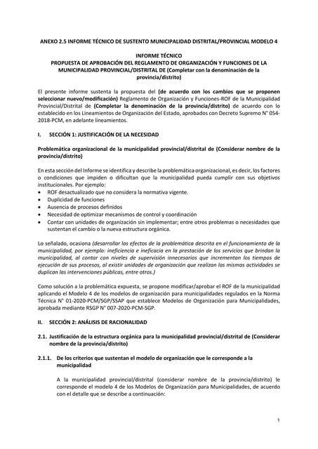 Informe Técnico Sustentatorio Modelo 4 liu uDocz