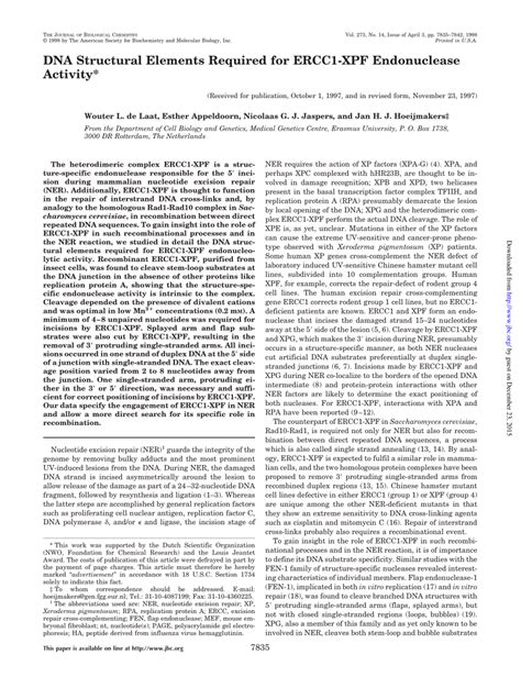 Pdf Dna Structural Elements Required For Ercc Xpf Endonuclease Activity