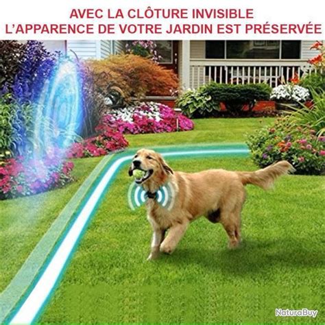 Pack Anti Fugue Pour Chiens Collier Et Cl Ture Lectrique Modes De