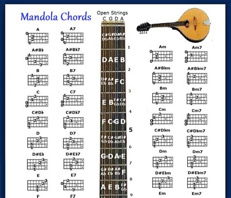 MANDOLA CHORDS CHART & NOTE LOCATOR - SMALL | Grelly UK