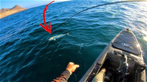 Pesca en Kayak Júreles de Castilla Cabrillas Sardineras Puerto