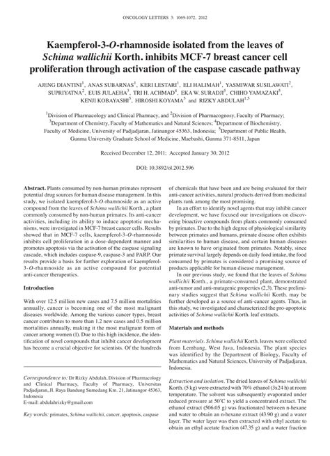 PDF Kaempferol 3 O Rhamnoside Isolated From The Leaves Of Schima