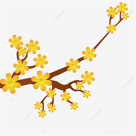 Yellow Apricot Blossom Vector Design Images Yellow Flower Apricot