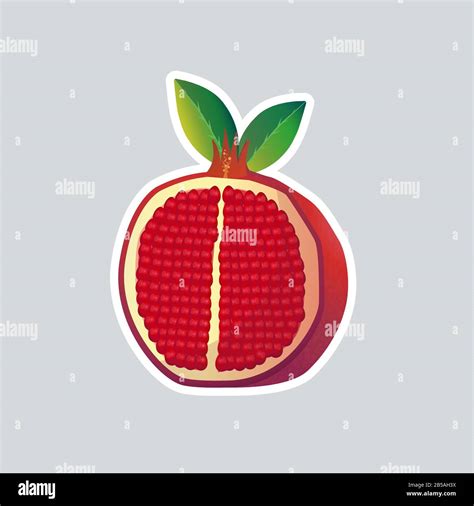 Fresh Juicy Pomegranate Icon Tasty Ripe Fruit Sticker Healthy Food