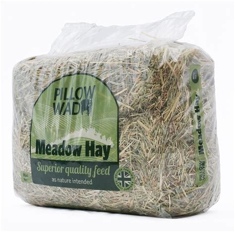 Pillow Wad Hay Mini 1kg Vital Pet Group