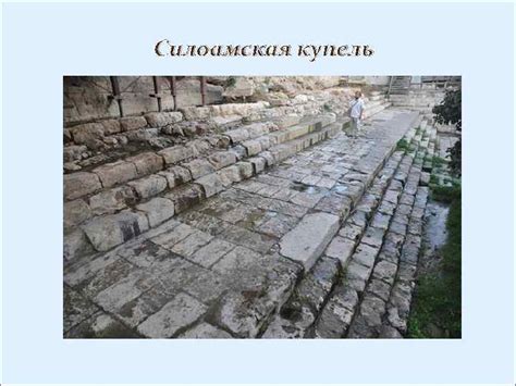 Библейская археология как один из аспектов Богопознания