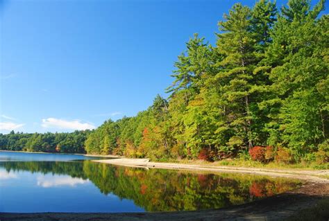 Thoreau's Lake: Walden Pond - TOMORROW’S WORLD TODAY®