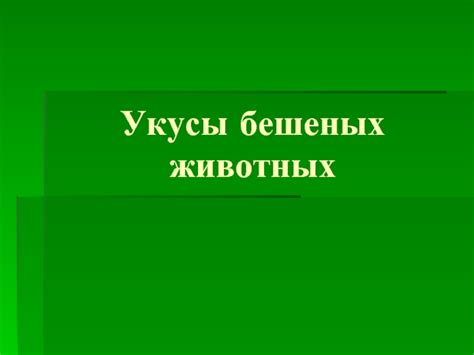 Укусы бешеных животных
