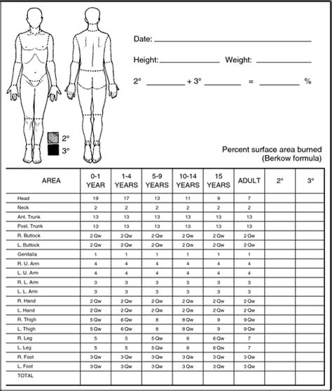 Lund-Browder Burn Scale (Since the scale is an international commonly ...