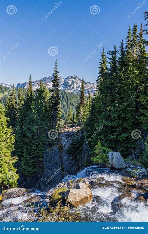 Vertical Of Mount Rainer National Park In Washington Stock Image