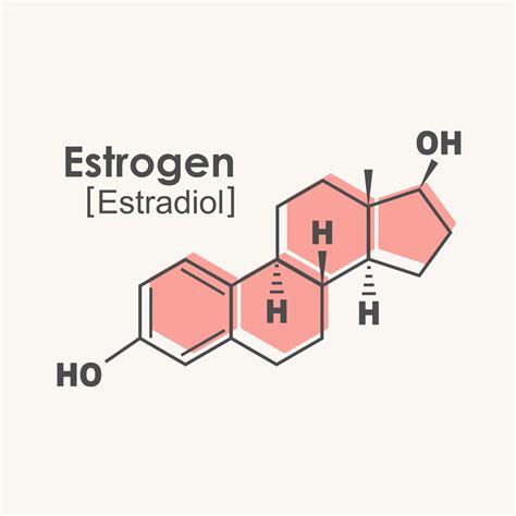 Understanding Estrogen, a Key Hormone in Menopause - Prevail Wellness ...