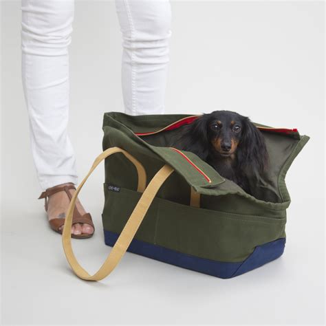 Canvas Pet Tote Olive And Navy Large Love Thy Beast Touch Of Modern