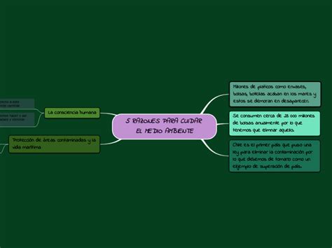 Razones Para Cuidar El Medio Ambiente Mind Map