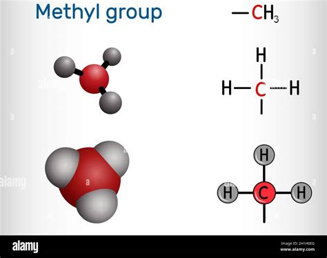 DNA Del Gruppo Metilico