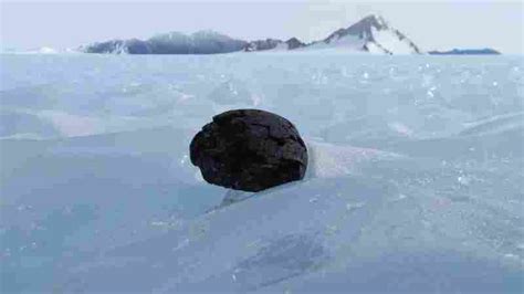 The Hunt For Meteorites Begins In Antarctica : NPR