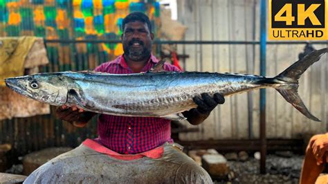 Vanjaram Fish Cutting Video Fishcuttingrs Fishcuttingrs Kasimedu