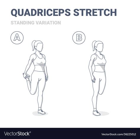 Standing quadriceps stretch girl home workout Vector Image