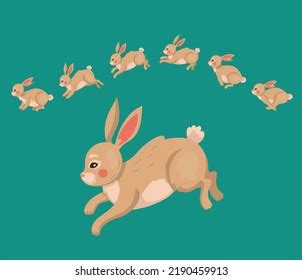 Rabbit Animal Jump Sequence Bunny Motion Stock Vector (Royalty Free ...