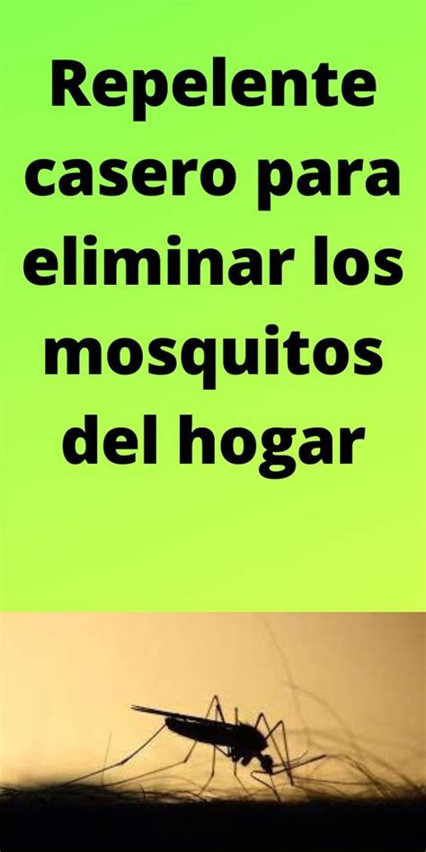 Repelente Casero Para Eliminar Los Mosquitos Del Hogar Bricolajesos