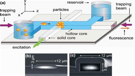 Optofluidic Arrow Platform Optimized For Particle Detection A