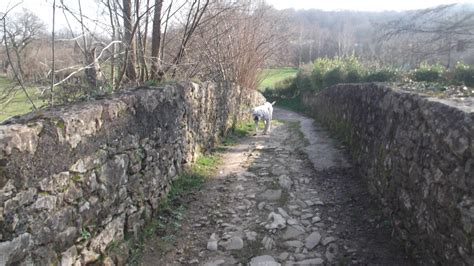 La Senda De Cernunnos A Orillas Del Nora A Su Paso Por Siero Asturias