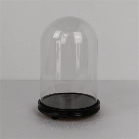 Glass Dome Display Etsy