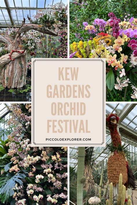 Kew Gardens Orchid Festival