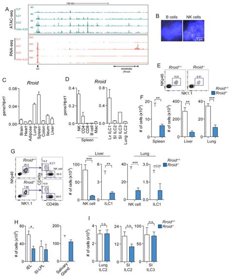 Memory Boy Schematic