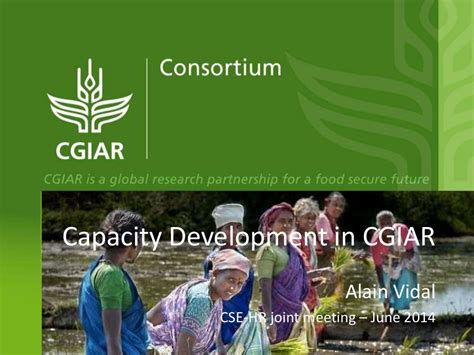 Capacity Development Within Cgiar Cgiar Gender Impact Platform