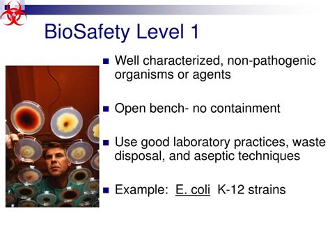 Ppt Basics Of Biosafety Powerpoint Presentation Id520457