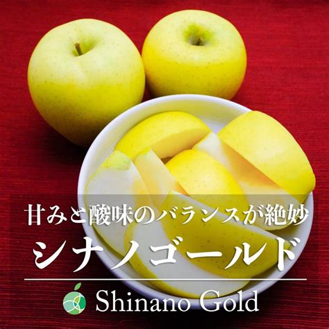 甘みと酸味のバランスがよい黄色いりんご信州・長野県産のシナノゴールドの贈答用・約5kg（10〜16玉）シナノゴールドは、ゴールデンデリシャスと