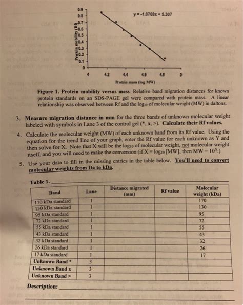 Protein Molecular Weight Calculator Dalton Blog Dandk