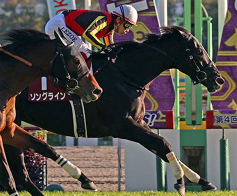 2022富士ステークスgⅡ予想 人生競馬中心