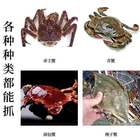 海用螃蟹笼子加粗折叠捕蟹笼龙虾网捕鱼神器鳝鱼甲鱼笼抓螃蟹工具虎窝淘