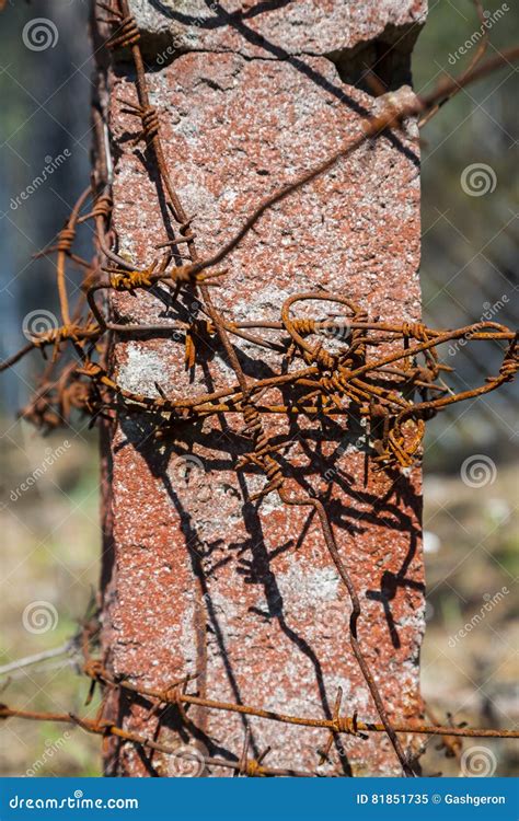 Rusty Barbed Wire Stock Image Image Of Rusty Protection 81851735