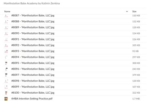 Kathrin Zenkina The Manifestation Babe Academy