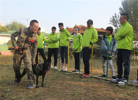 纠正宠物不良行为去哪所学校学习训犬技术呢？ 「圣宠训犬师学校」训犬师培训班犬行为驯导学校颁发国家职业训犬师资格证