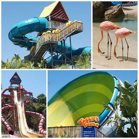 Sea World Aquatica Collage Beach Weather Long Time Friends Thrill