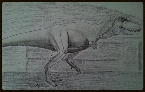 how to draw rexy