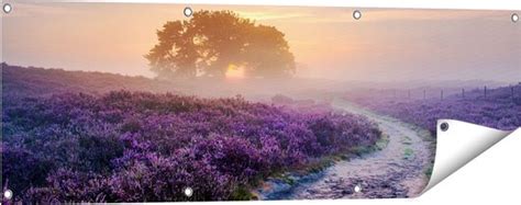 Gards Tuinposter Pad In De Weide Van De Veluwe 120x40 Cm Tuindoek